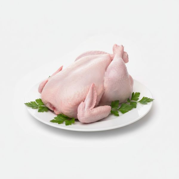 coquelet_1 Coquelet – Image 1